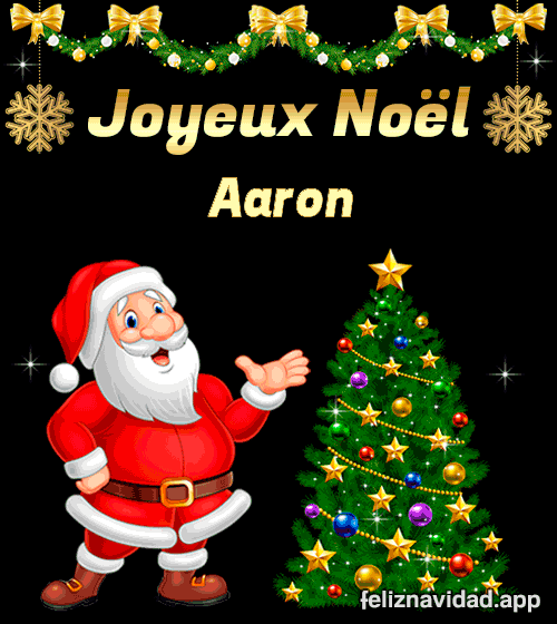 GIF Joyeux Noël Aaron