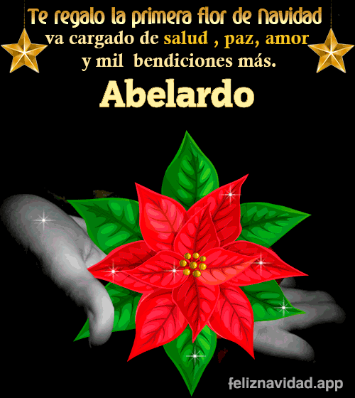 GIF Te regalo la primera flor de Navidad Abelardo