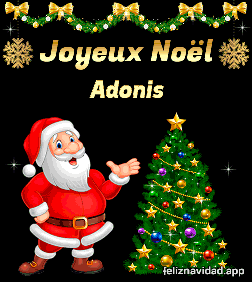 GIF Joyeux Noël Adonis