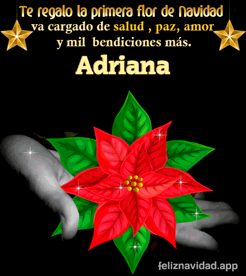 GIF Te regalo la primera flor de Navidad Adriana