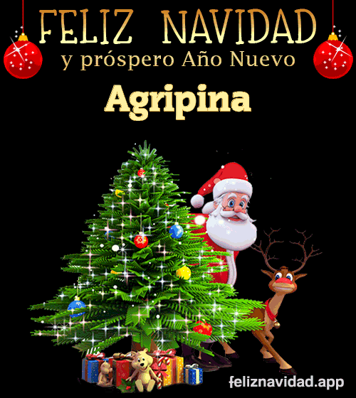 GIF Feliz Navidad y Próspero Año Nuevo 2024 Agripina