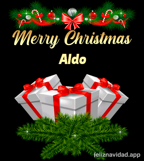 GIF Merry Christmas Aldo