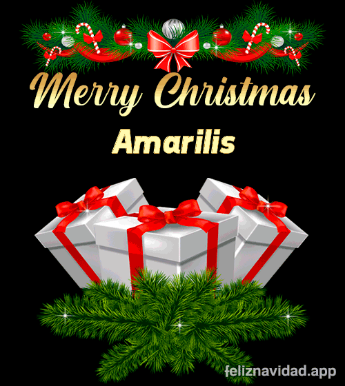 GIF Merry Christmas Amarilis