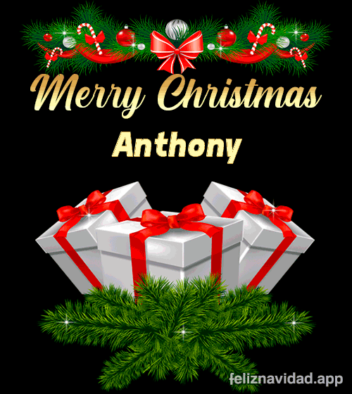 GIF Merry Christmas Anthony