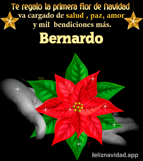 GIF Te regalo la primera flor de Navidad Bernardo
