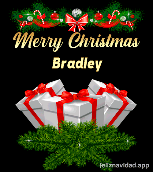 GIF Merry Christmas Bradley
