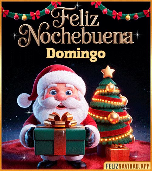 GIF GIF de Feliz Nochebuena Domingo