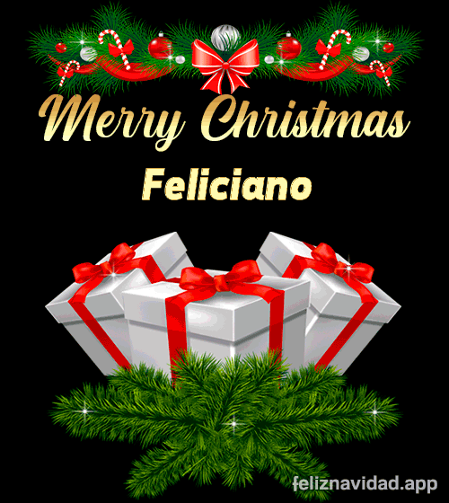 GIF Merry Christmas Feliciano