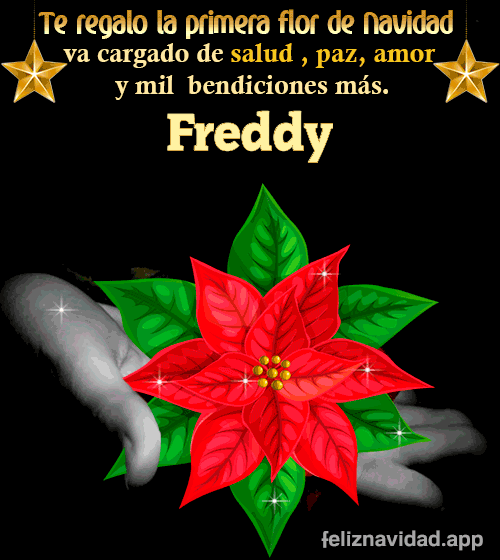 GIF Te regalo la primera flor de Navidad Freddy