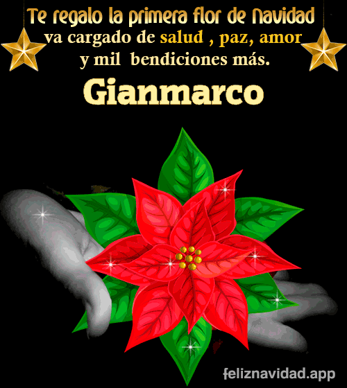 GIF Te regalo la primera flor de Navidad Gianmarco