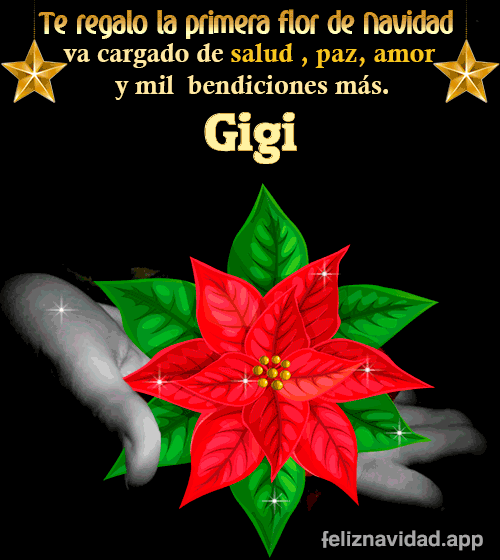 GIF Te regalo la primera flor de Navidad Gigi