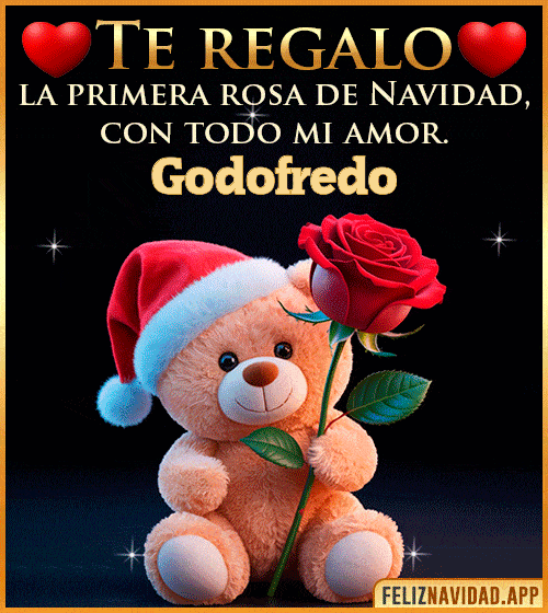 GIF Te regalo la primera rosa de Navidad Godofredo