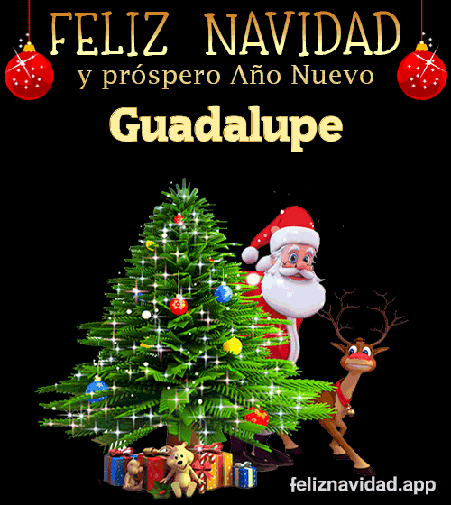 GIF Feliz Navidad y Próspero Año Nuevo 2024 Guadalupe