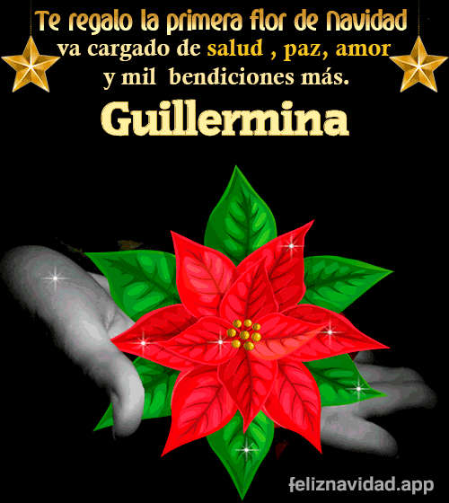 GIF Te regalo la primera flor de Navidad Guillermina