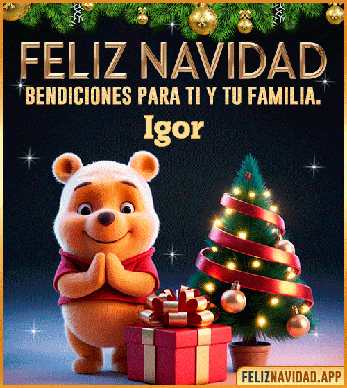 GIF Feliz Navidad, bendiciones para ti y tu familia Igor