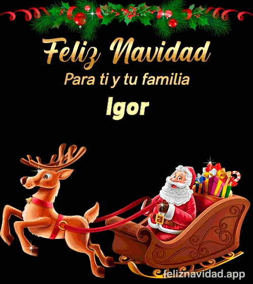 GIF Feliz Navidad para ti y tu familia Igor