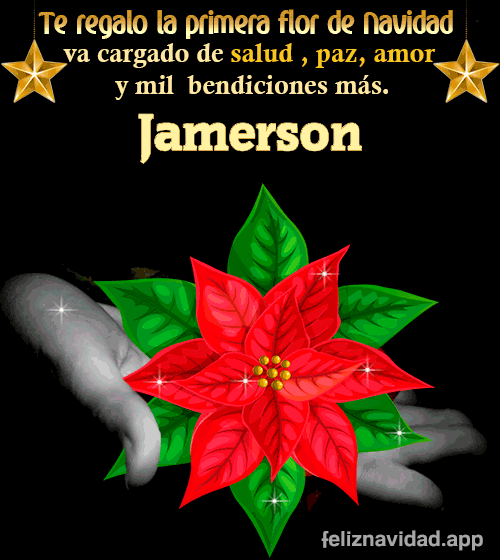 GIF Te regalo la primera flor de Navidad Jamerson
