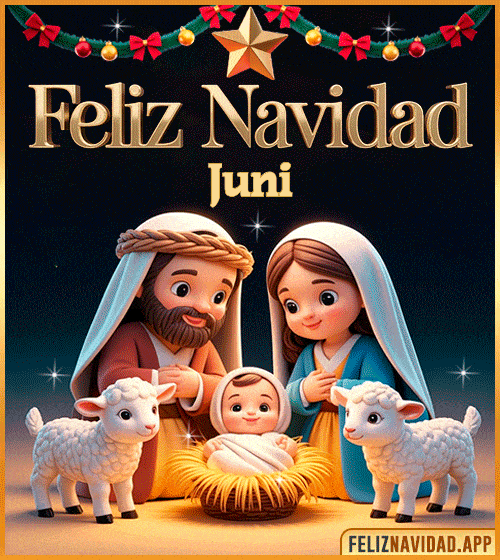 GIF Feliz Navidad gif Juni