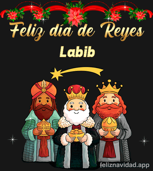 GIF Feliz día de Reyes Labib