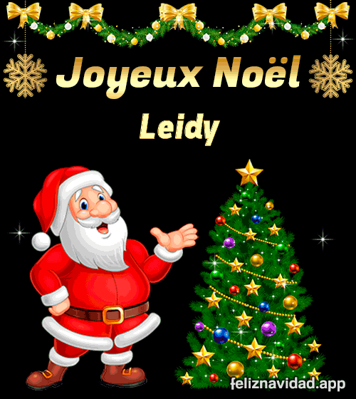 GIF Joyeux Noël Leidy