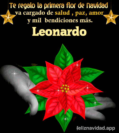 GIF Te regalo la primera flor de Navidad Leonardo