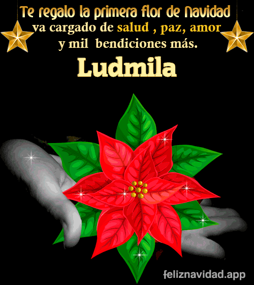 GIF Te regalo la primera flor de Navidad Ludmila