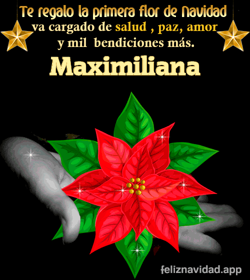 GIF Te regalo la primera flor de Navidad Maximiliana
