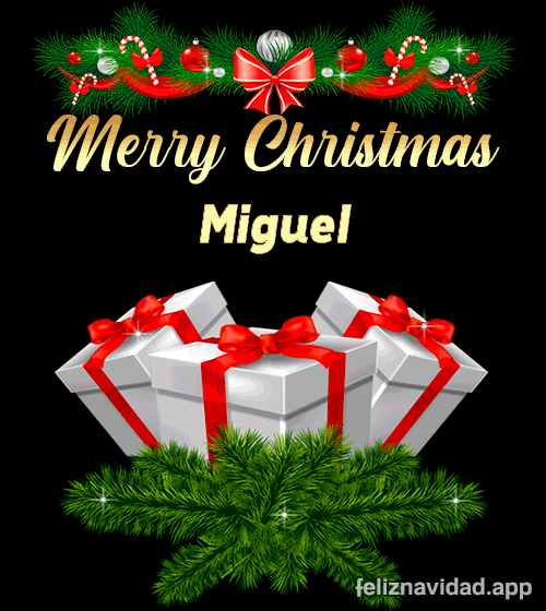 GIF Merry Christmas Miguel