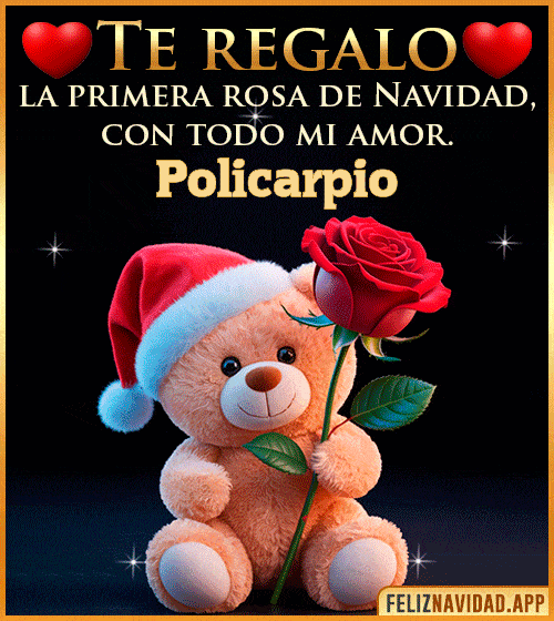 GIF Te regalo la primera rosa de Navidad Policarpio