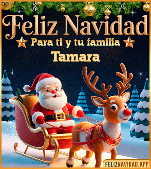 GIF Feliz Navidad para ti y tu familia Tamara