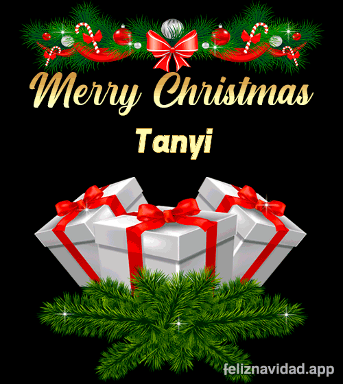 GIF Merry Christmas Tanyi