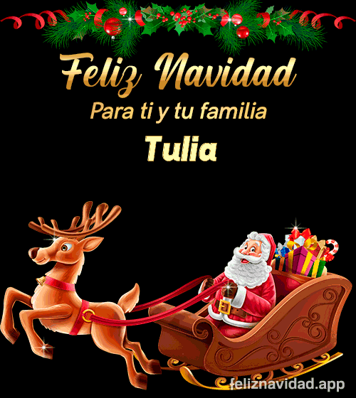 GIF Feliz Navidad para ti y tu familia Tulia