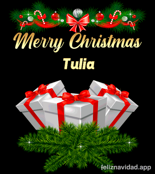 GIF Merry Christmas Tulia