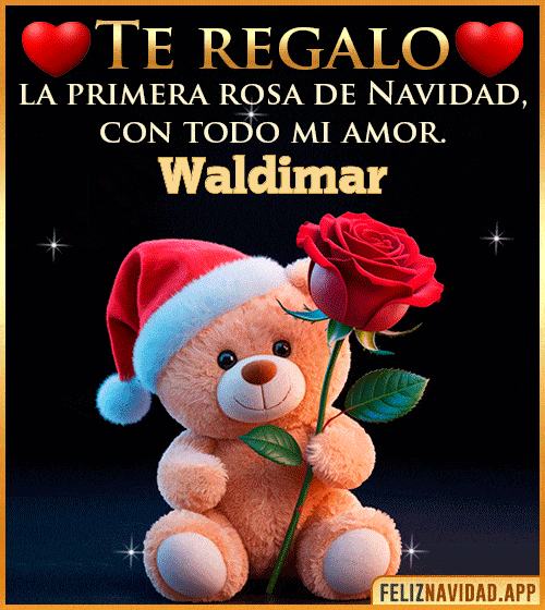 GIF Te regalo la primera rosa de Navidad Waldimar