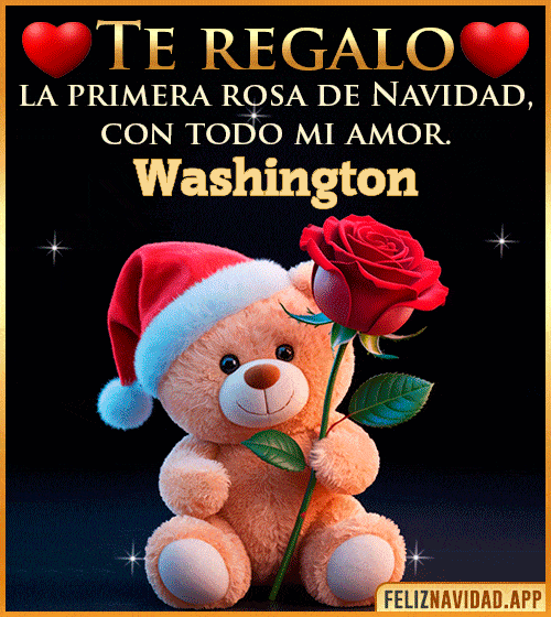 GIF Te regalo la primera rosa de Navidad Washington