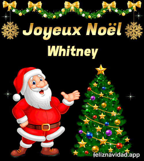 GIF Joyeux Noël Whitney