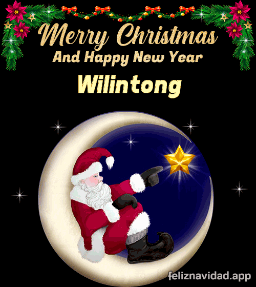 GIF Merry Christmas and Happy New Year Wilintong