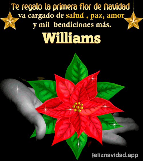 GIF Te regalo la primera flor de Navidad Williams