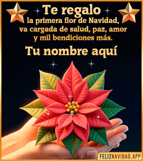 Te regalo la primera flor de Navidad  crea gif de navidad